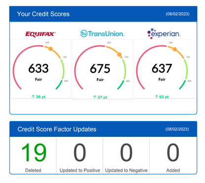 7 Steps to Financial Freedom: DIY Credit Repair E-Book Kit